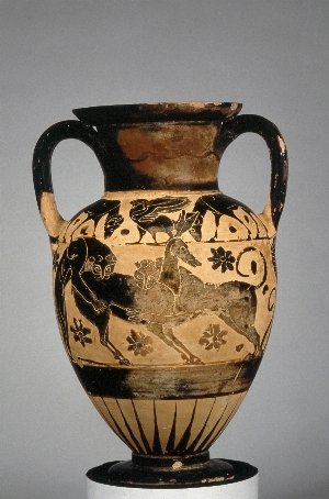 MS398