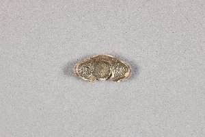 17587G