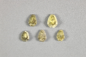 18595B