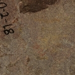 898678