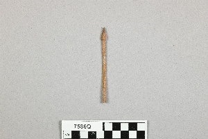 7586Q