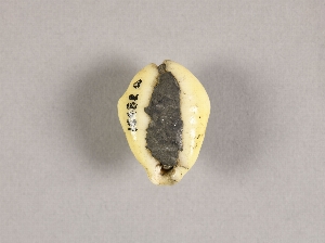 16482A