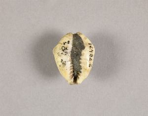 16482C