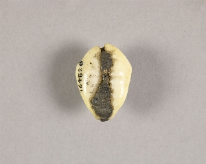 16482D