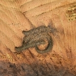 899745