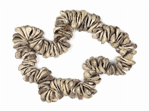 16005