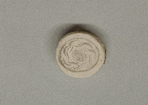 MS4293