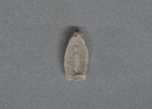 MS4294