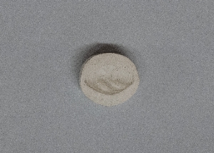 MS4296