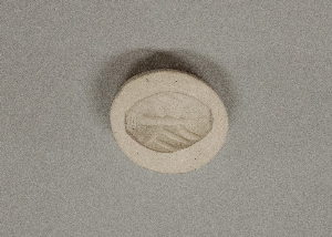 MS4297