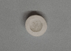 MS4301