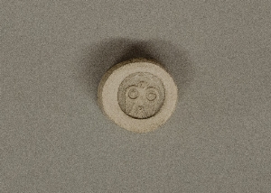 MS4303