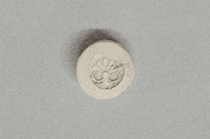 MS4305