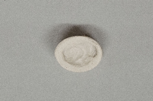 MS4306