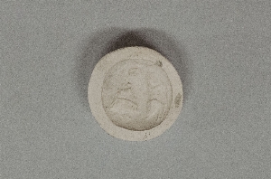 MS4307