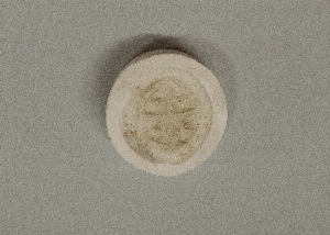 MS4308