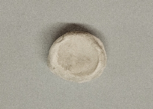 MS4309