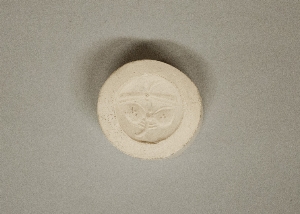 MS4311