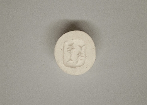 MS4317