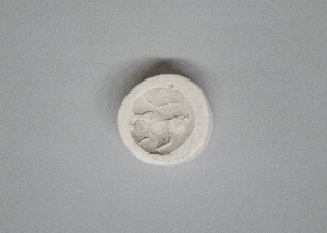MS4321