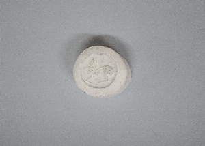 MS4323