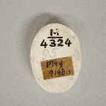 900464