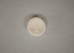 MS4326