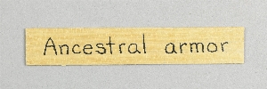 49-30-1.20H
