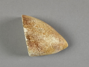 49-30-1.25C