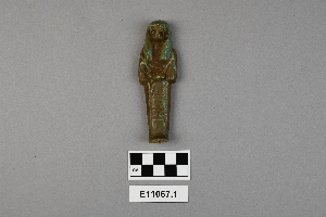 E11067.1