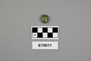 E10011
