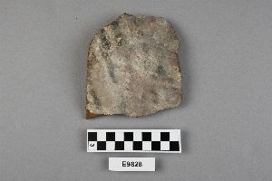 E9828
