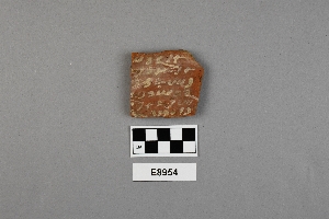E8954