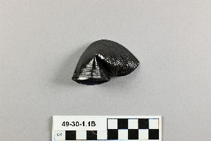 49-30-1.1B