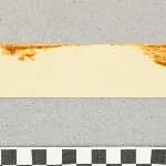 901667