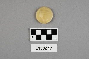 E10827B