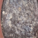 904121