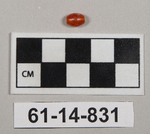61-14-831