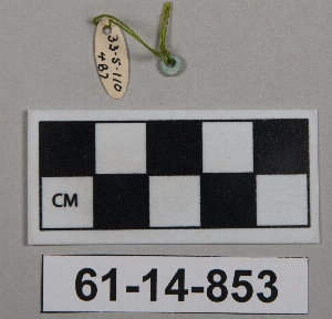 61-14-853