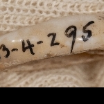904408