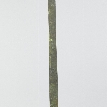 905125