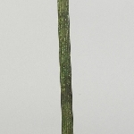 905381