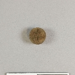 905541