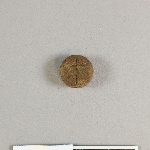 905544
