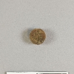 905545