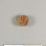 905553