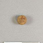905560