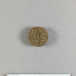 905564