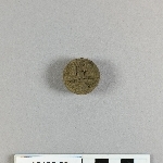905567