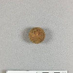 905569